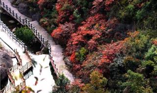 十堰旅游景点大全