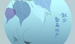 下雪打雷老古人说法 下雪打雷老古人说法