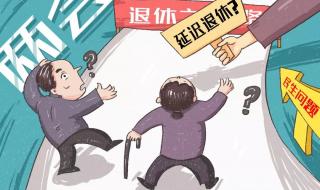 延迟退休改革原则