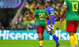 世界杯各大洲参赛球队 世界杯各大洲参赛球队